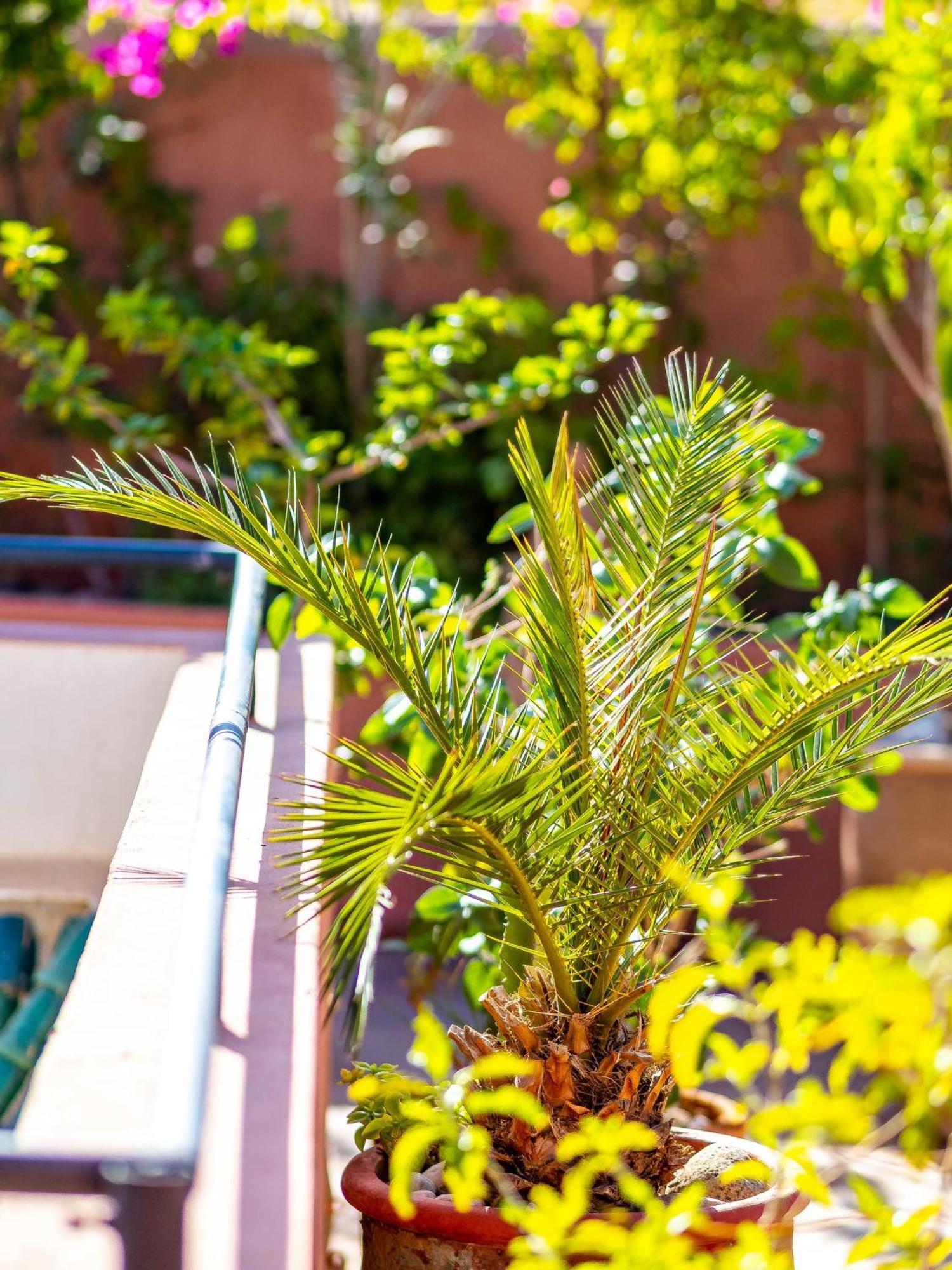 Riad L'Orange Bleue Marrakesh Exterior photo